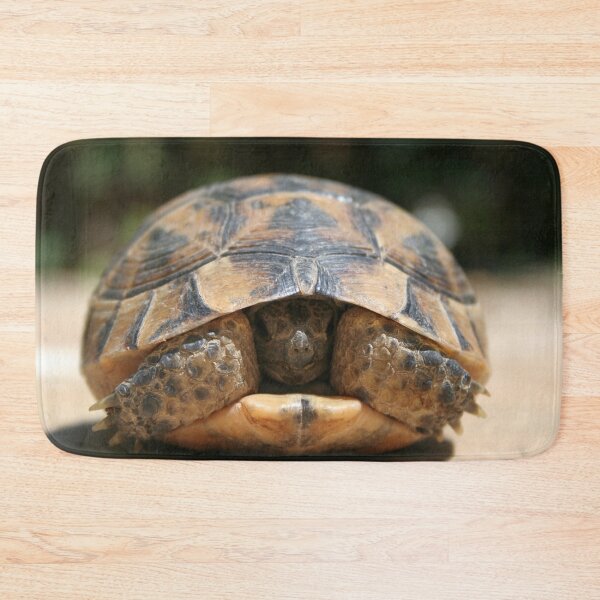 Item preview, Young Spur Thighed Tortoise Looking Out of Its Shell designed and sold by taiche.