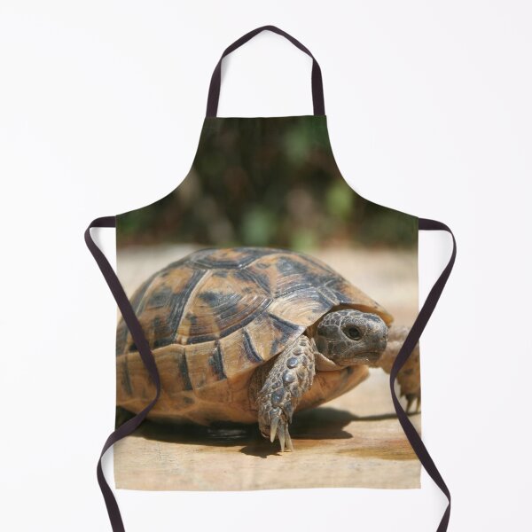 Item preview, Portrait of a Young Wild Tortoise Close Up designed and sold by taiche.