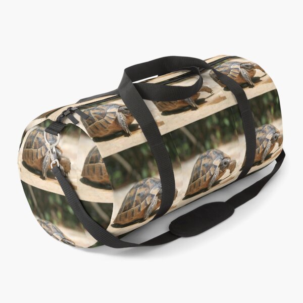 Item preview, Portrait of a Young Wild Tortoise Close Up designed and sold by taiche.