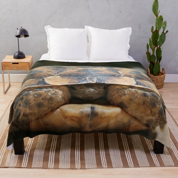 Item preview, Young Spur Thighed Tortoise Looking Out of Its Shell designed and sold by taiche.