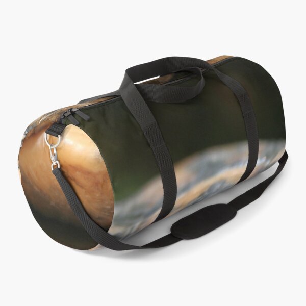 Item preview, Young Spur Thighed Tortoise Looking Out of Its Shell designed and sold by taiche.
