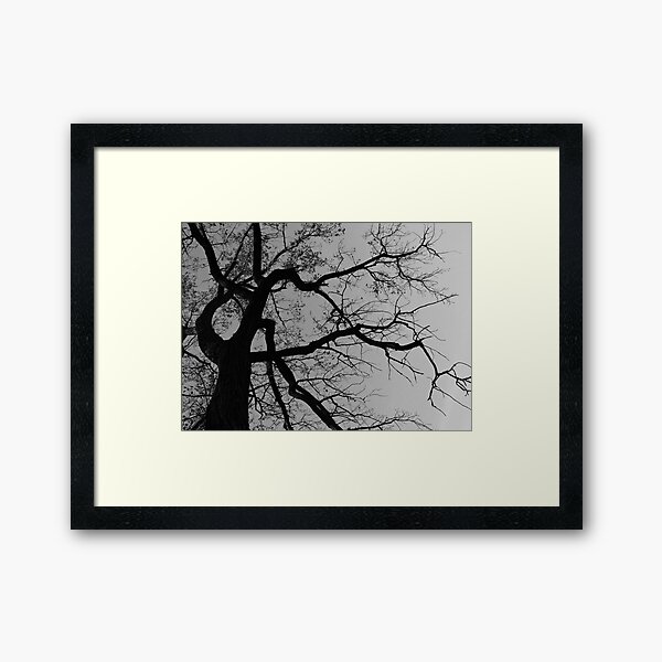 Look Up For The Poetry Framed Art Print