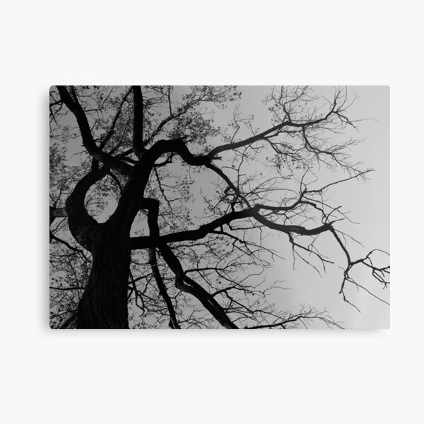 Look Up For The Poetry Metal Print