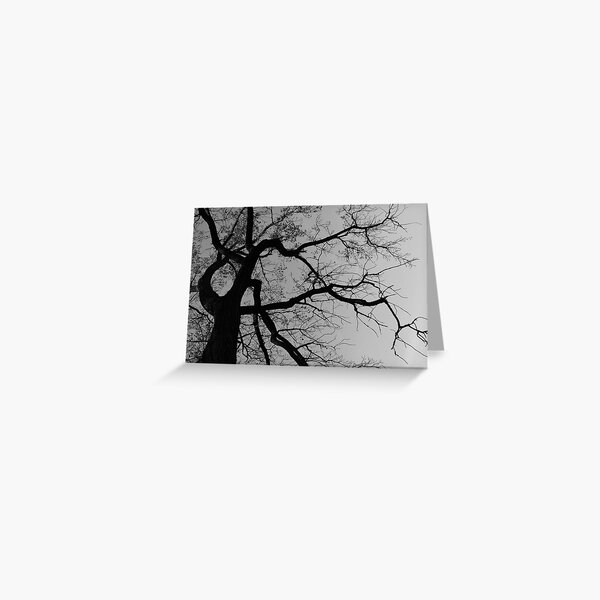 Look Up For The Poetry Greeting Card