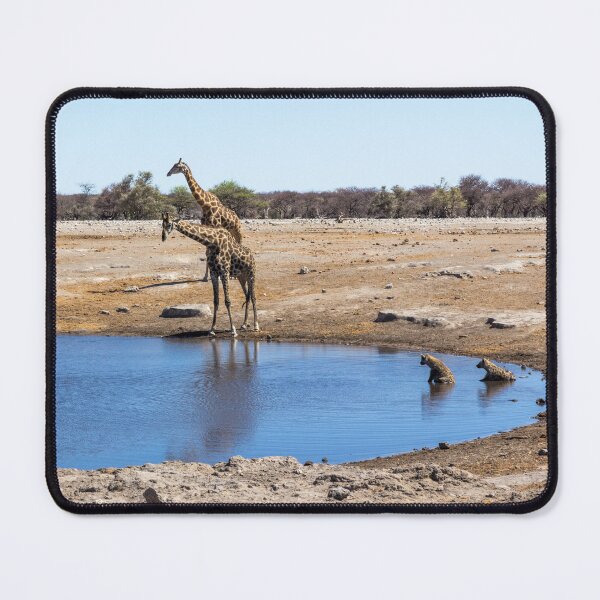 Item preview, Giraffes and Hyenas at the Water Hole - Etosha, Namibia designed and sold by holgermader.