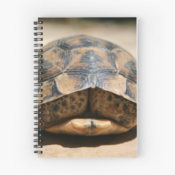 Item preview, Tortoise Hiding In Its Shell Close Up Photograph designed and sold by taiche.