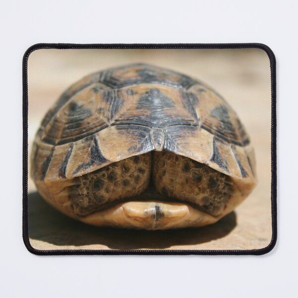 Item preview, Tortoise Hiding In Its Shell Close Up Photograph designed and sold by taiche.
