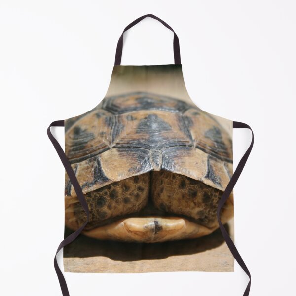 Item preview, Tortoise Hiding In Its Shell Close Up Photograph designed and sold by taiche.