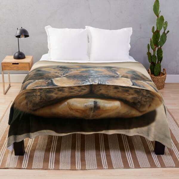 Item preview, Tortoise Hiding In Its Shell Close Up Photograph designed and sold by taiche.