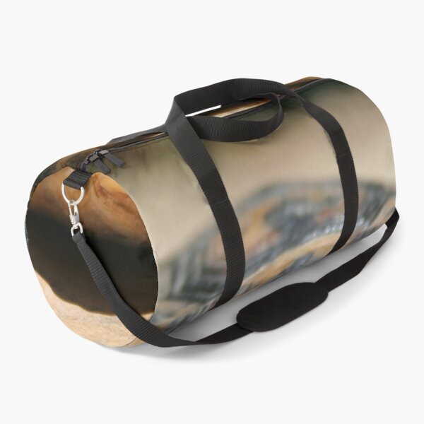 Item preview, Tortoise Hiding In Its Shell Close Up Photograph designed and sold by taiche.