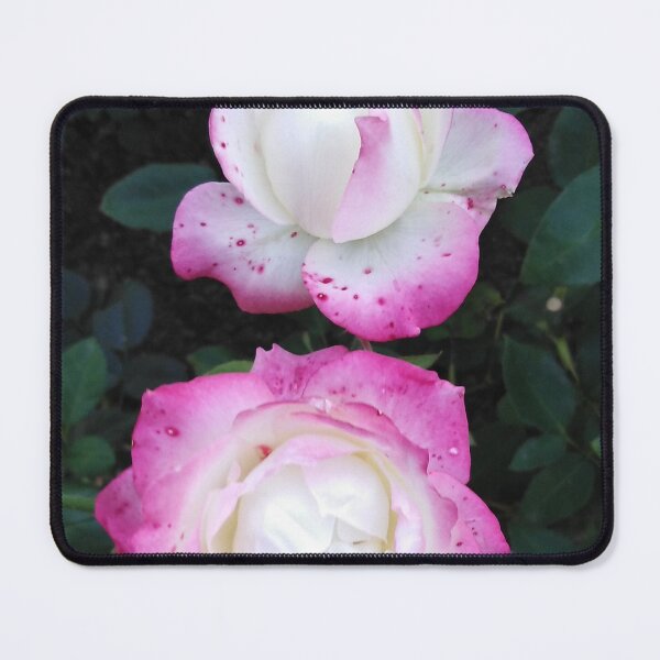 Item preview, Magic is in the air or is it love and roses? designed and sold by Raigitam.