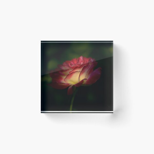 Item preview, The Secret of Life (See Artists Notes) designed and sold by Adam Bykowski.