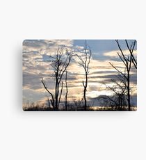 Cloudy Day Canvas Print