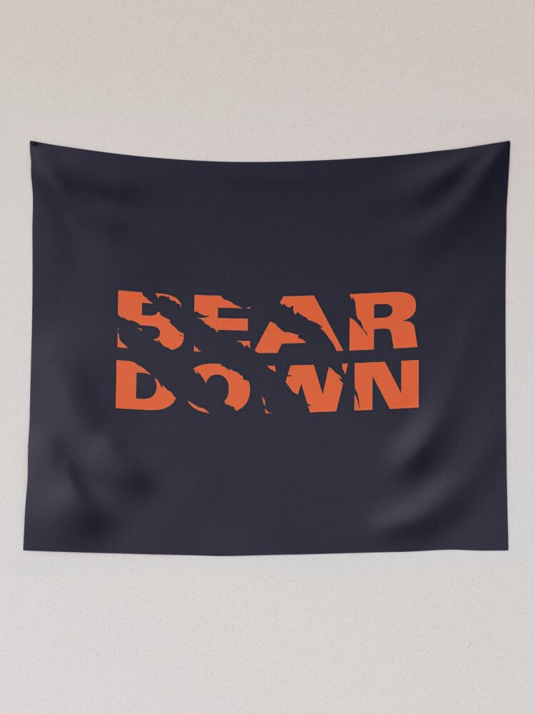 Chicago Bears PAPA BEAR (comes in 4 sizes)