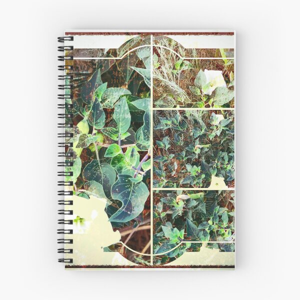 Item preview, Sacred Datura in the Wild designed and sold by Marielle Valenzuela.