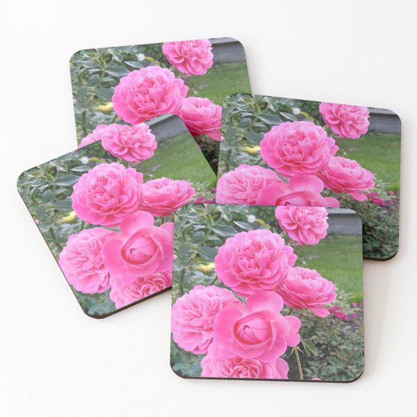 Item preview, Pink roses are always the right choice designed and sold by Raigitam.