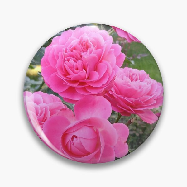 Item preview, Pink roses are always the right choice designed and sold by Raigitam.