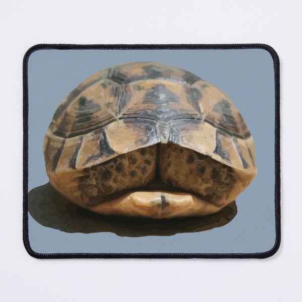 Item preview, Tortoise Tucked In Vector Art Cut Out designed and sold by taiche.