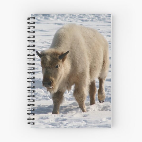 Item preview, White Buffalo (Bison) designed and sold by Larry Trupp.
