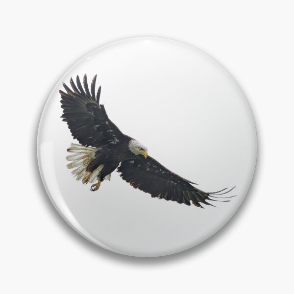 Item preview, Bald Eagle designed and sold by The Sleepy Monito.