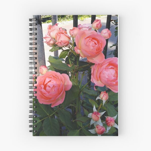 Item preview, An orange rose is like the romance of a sunset designed and sold by Raigitam.