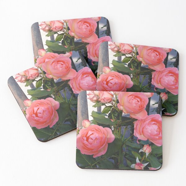 Item preview, An orange rose is like the romance of a sunset designed and sold by Raigitam.