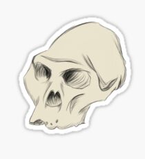 Australopithecus Sketch Sticker