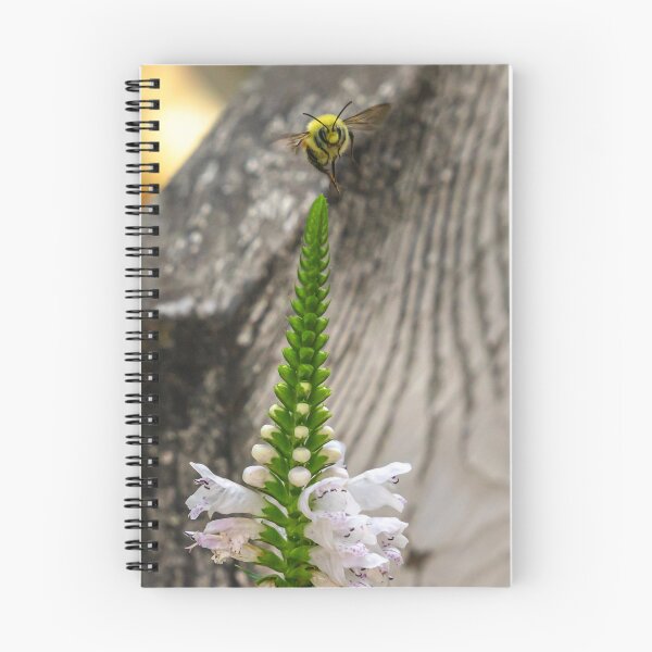 Item preview, Last Bee designed and sold by darren-j-mcleod.