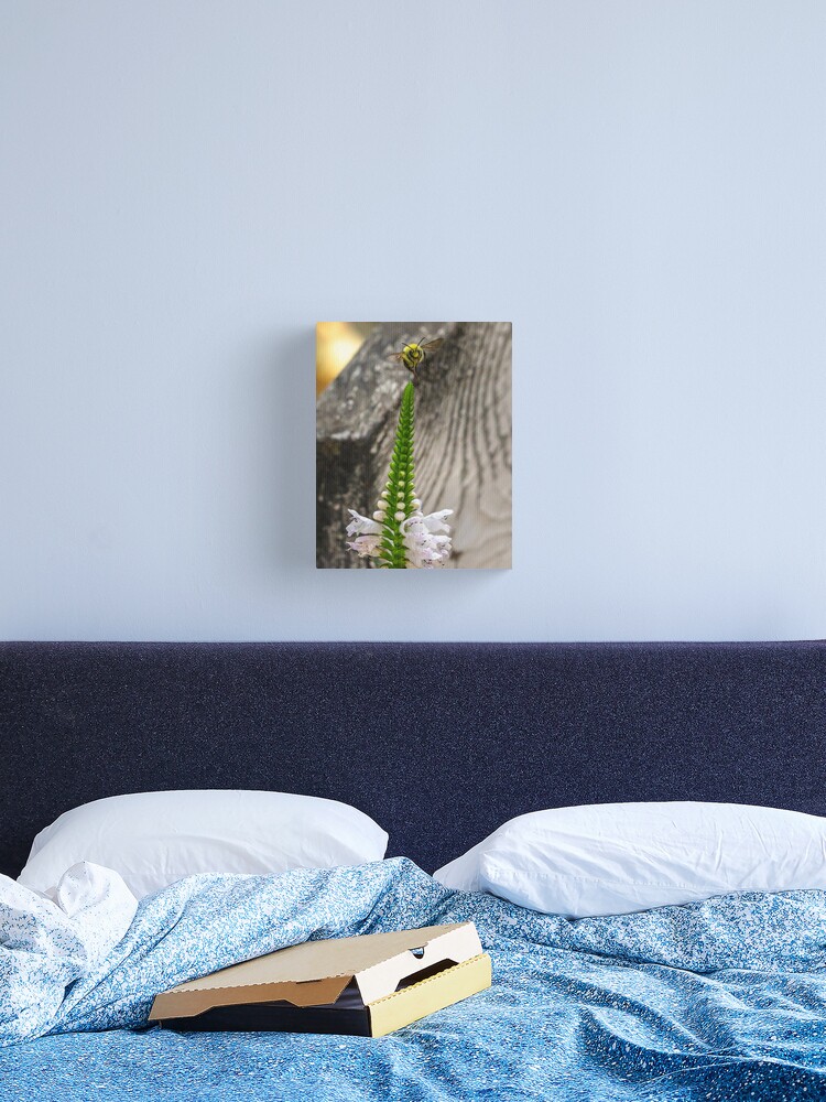 Thumbnail 2 of 3, Canvas Print, Last Bee designed and sold by darren-j-mcleod.