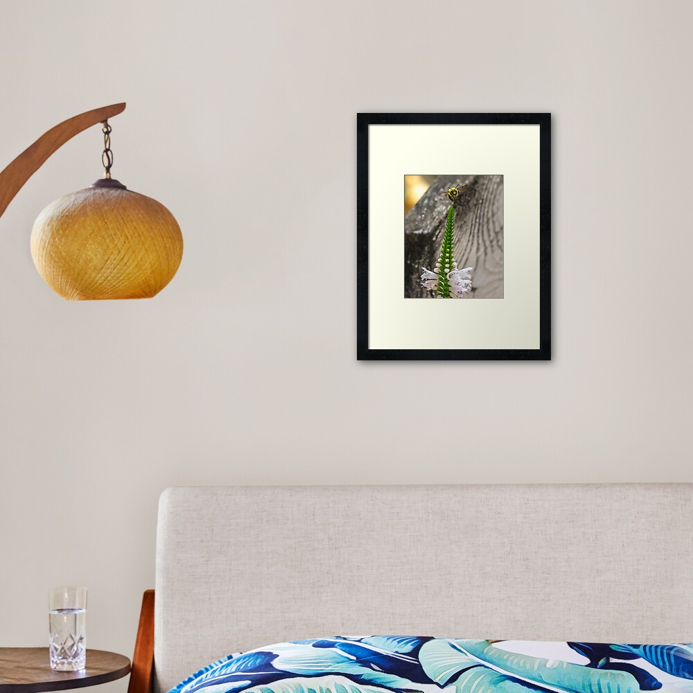 Item preview, Framed Art Print designed and sold by darren-j-mcleod.