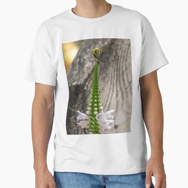 Last Bee Classic T-Shirt