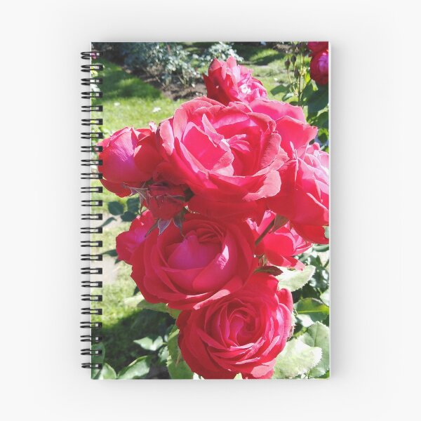Item preview, A red rose makes your heart beat like love designed and sold by Raigitam.