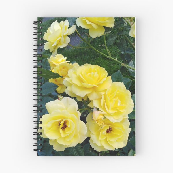 Item preview, Is this rose really so beautiful or is it an illusion? designed and sold by Raigitam.
