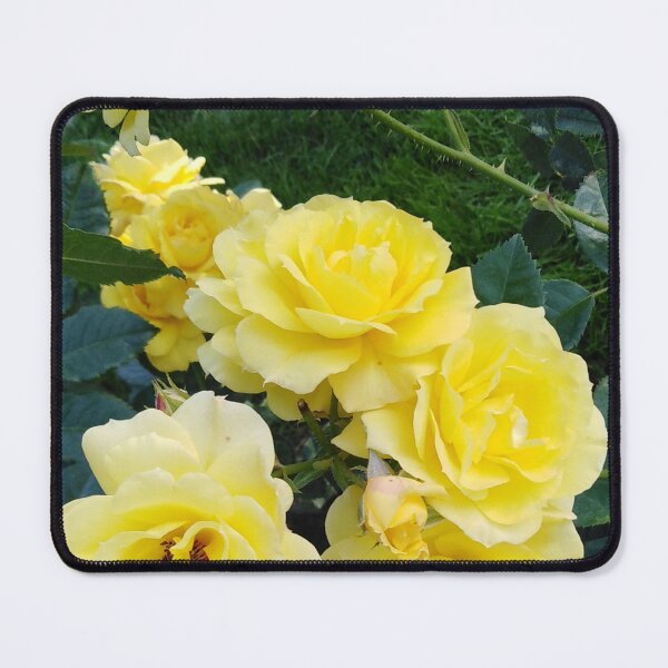 Item preview, Is this rose really so beautiful or is it an illusion? designed and sold by Raigitam.