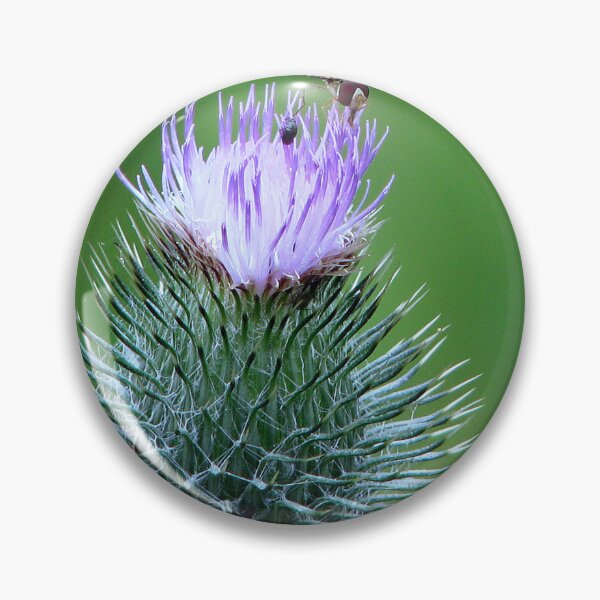 Item preview, Thistle do nicely designed and sold by Sharon Perrett.