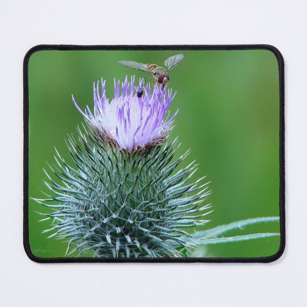 Item preview, Thistle do nicely designed and sold by Sharon Perrett.