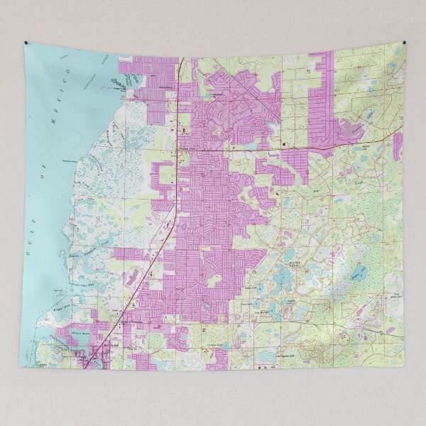 Item preview, Port Richey & New Port Richey Florida Map (1954) designed and sold by BravuraMedia.