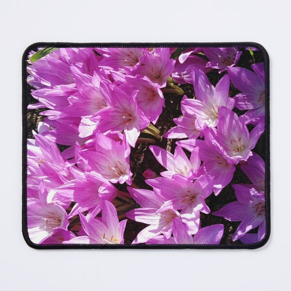 Item preview, Autumn crocus is wonderful like love designed and sold by Raigitam.