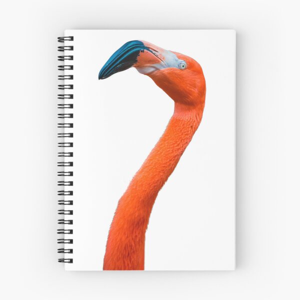 Item preview, Caribbean flamingo designed and sold by The Sleepy Monito.