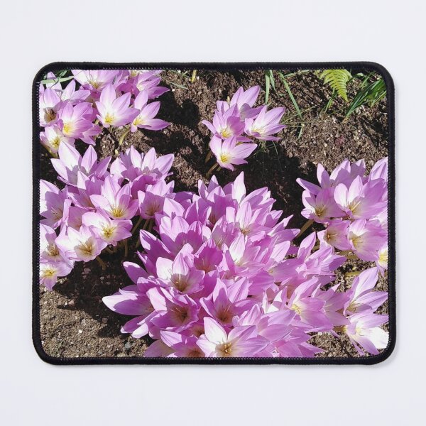Item preview, The crocus has only flower beauty  designed and sold by Raigitam.