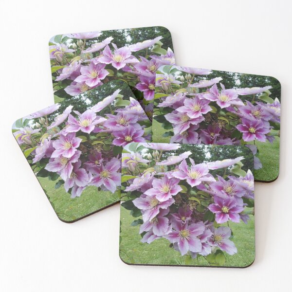 Item preview, Clematis clings to summer like summer love designed and sold by Raigitam.