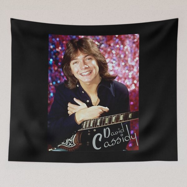 Item preview, david cassidy - 1970s hollywood  designed and sold by AYDINLINDA.