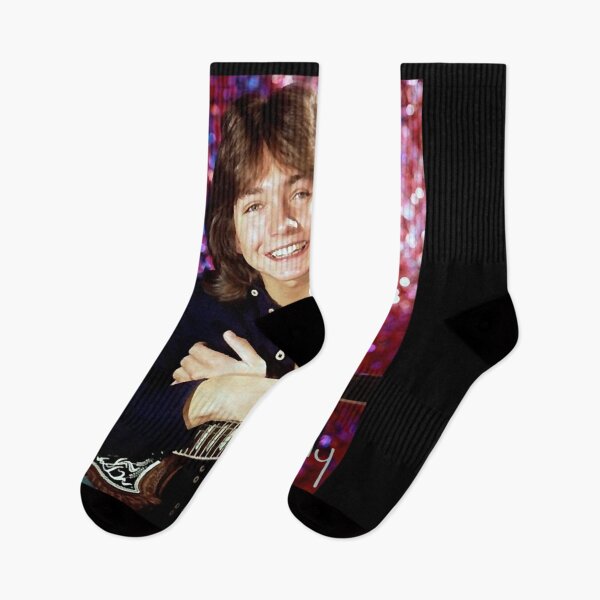 Item preview, david cassidy - 1970s hollywood  designed and sold by AYDINLINDA.