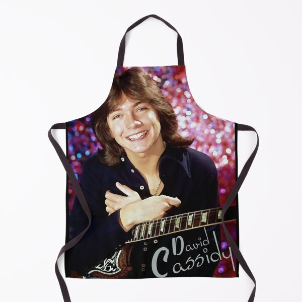Artikelvorschau, David Cassidy - Hollywood der 1970er Jahre entworfen und verkauft von AYDINLINDA.
