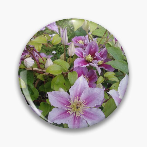 Item preview, Clematis craves the romance of summer back designed and sold by Raigitam.
