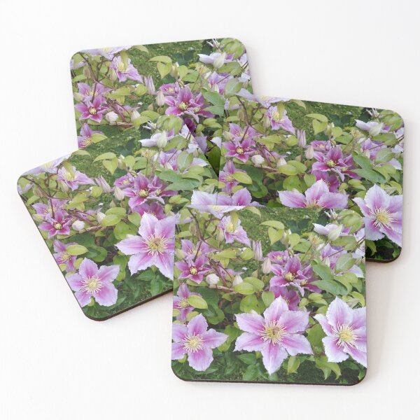 Item preview, Clematis craves the romance of summer back designed and sold by Raigitam.