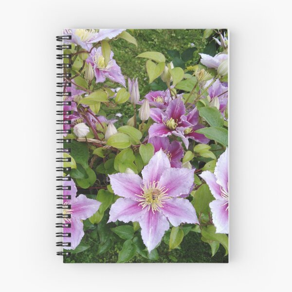 Item preview, Clematis craves the romance of summer back designed and sold by Raigitam.