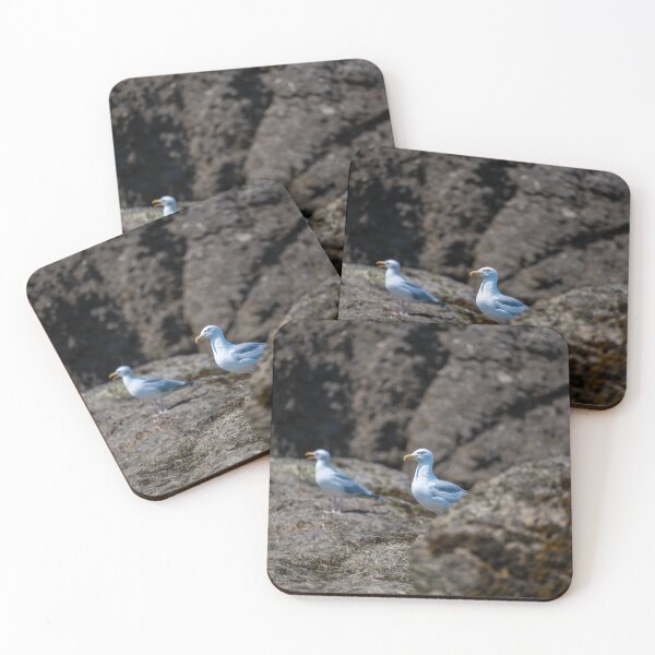 Item preview, Seagulls on the beach of St. Malo designed and sold by OskiOnTour.