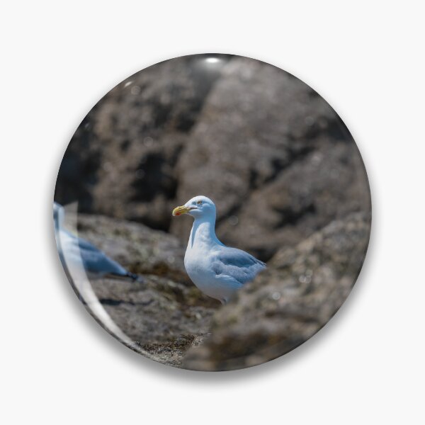 Item preview, Seagulls on the beach of St. Malo designed and sold by OskiOnTour.