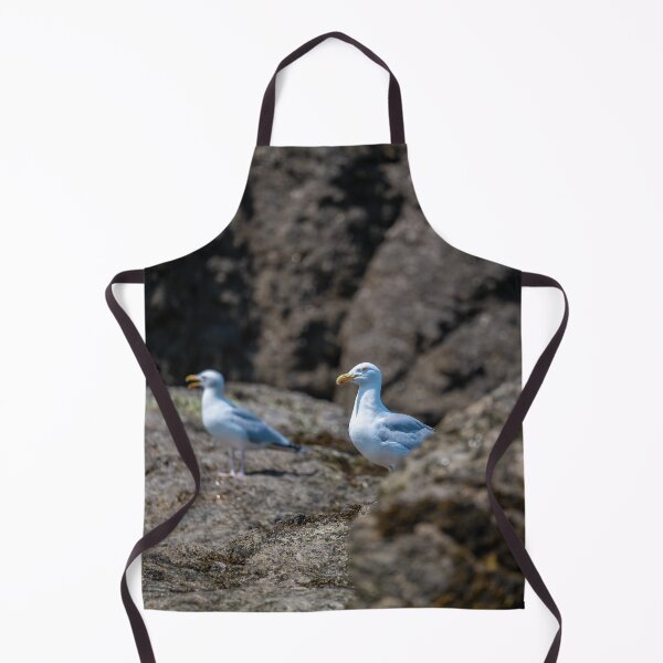 Item preview, Seagulls on the beach of St. Malo designed and sold by OskiOnTour.